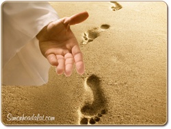 Suy Niệm Chúa Nhật 2 Thường Niên