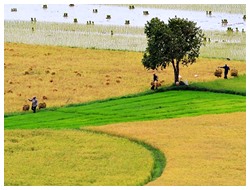 Mồng Ba Tết: Thánh Hóa Công Ăn Việc Làm