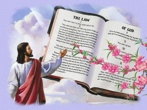 Các bài chia sẻ Tin Mừng trong ba ngày Tết