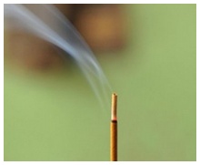 Cha Phêrô, nén hương muộn...