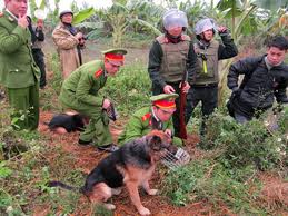 Chung quanh vụ cưỡng chế ở Tiên Lãng, Hải Phòng