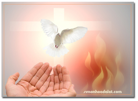 Chúa Thánh Thần tác nhân của vũ trụ: 2 bài suy niệm