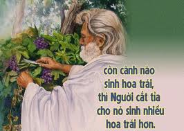 Chúa Nhật V Phục Sinh năm B, ngày 6.5.2012