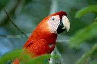 Tình yêu thật sự là gì...