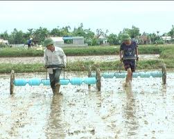 Suy niệm và chú giải Lời Chúa Chúa nhật 11 Thường niên (B)