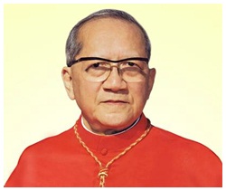 Đức Cố Hồng y Fx. Nguyễn Văn Thuận: Chứng nhân tình yêu và hy vọng doan sau them de xem co bi cat khong thoi ko anh huong gi ca na