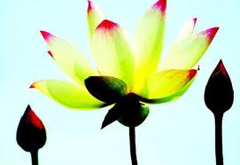 Cuộc sống ý nghĩa hơn khi ta vượt qua thách thức trong cuộc sống