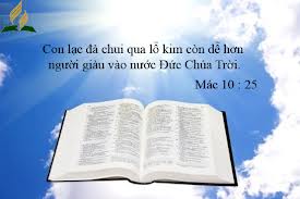 Điểm hẹn của chân lý đức tin