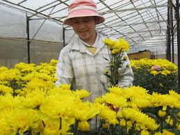 Những đức tính tốt cần được vun trồng