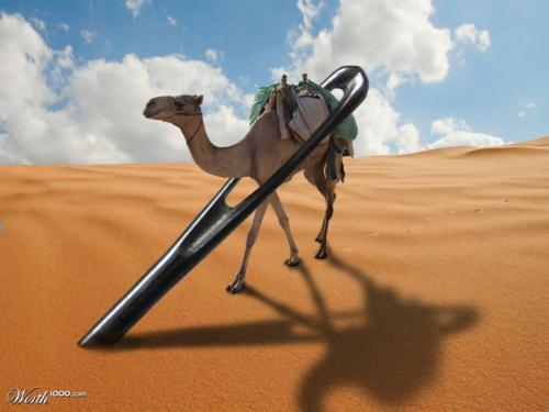 Sống phải biết từ bỏ