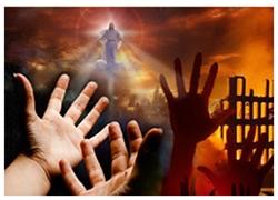 Chúng con xin làm chứng nhân