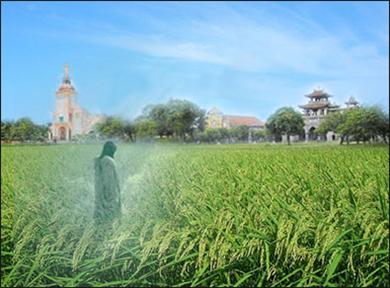 Sứ điệp Truyền giáo năm 2012