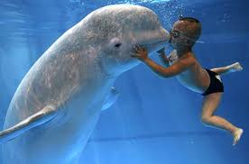 Giáo lý cộng đồng : khả năng của con người