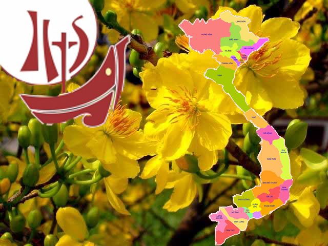 Giáo hội Công giáo Việt Nam – một năm nhìn lại