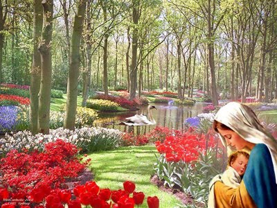 Kinh Mân Côi là một kho tàng cần được tái khám phá. Tương quan giữa Kinh Mân Côi và nền hòa bình thế giới