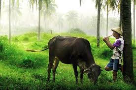 Chuyện ngụ ngôn cho thời hiện nay