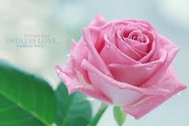 Hạnh phúc Hôn nhân