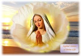 Maria, Thành Nazaréth - Hướng về ngày Thánh Mẫu 2013