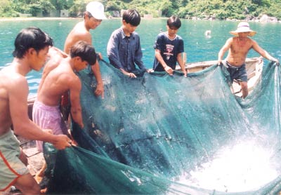 ra khơi thả lưới bắt cá