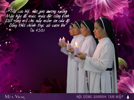 Đức Thánh Cha cho biết năm 2015 sẽ là năm về Đời Sống Thánh Hiến