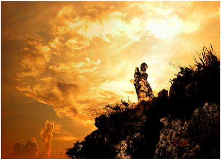 Ngài đến đây làm gì?