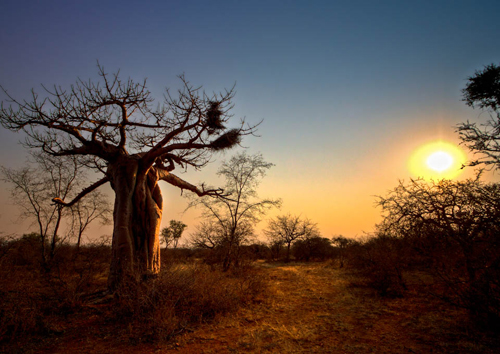 Lời nguyện giới trẻ và thiếu nhi tuần III Thường niên năm A