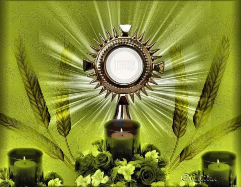 Lời nguyện giới trẻ - thiếu nhi lễ Mình Thánh và lời nguyện chung