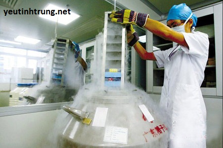 Thụ Tinh Nhân Tạo - Mang Thai Hộ và Luân lý Kitô Giáo