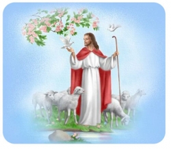 Lời Chúa và các bài suy niệm Chúa nhật 14 Thường niên Năm A