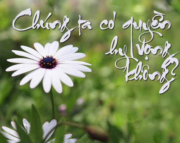 Chúng ta có quyền hy vọng không ? Tại sao lại có quyền hy vọng ?