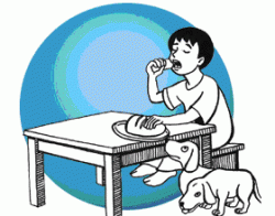 Lời Chúa và các bài chú giải - suy niệm Tin Mừng Chúa Nhật XX thường niên – năm A