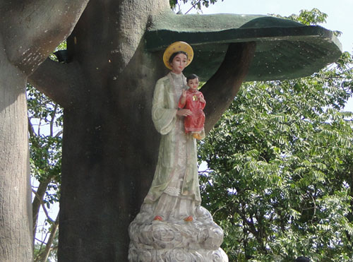 Thánh Lễ trọng thể kính Đức Maria Hồn Xác Lên Trời và bế mạc Đại hội La Vang lần thứ 30