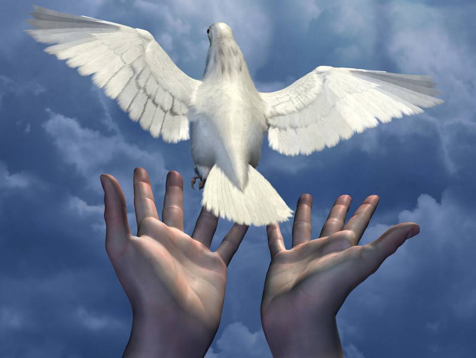 Lời nguyện giới trẻ, thiếu nhi và cộng đồng lễ Chúa Ki-tô Vua