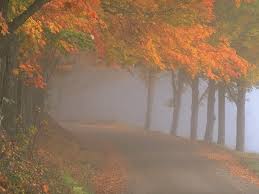 Lời nguyện tín hữu Tuần II Mùa Chay