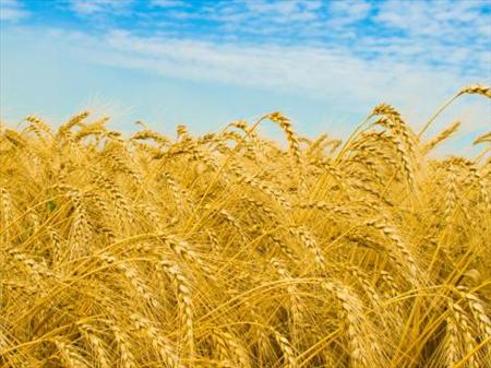 Chấp nhận và tôn trọng nhau