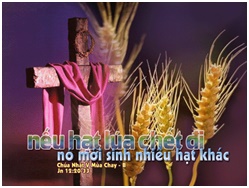 Suy niệm Lời Chúa tuần 5 Mùa chay - Năm B