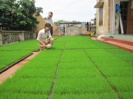 Bài giảng Chúa nhật 11 thường niên