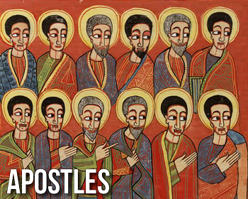 Suy niệm Chúa nhật tuần 15 Thường niên