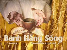 Suy niệm Chúa nhật tuần 20 Thường niên