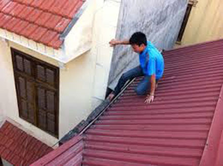 Ăn cắp: Từ chuyện cá nhân tới nỗi buồn quốc thể