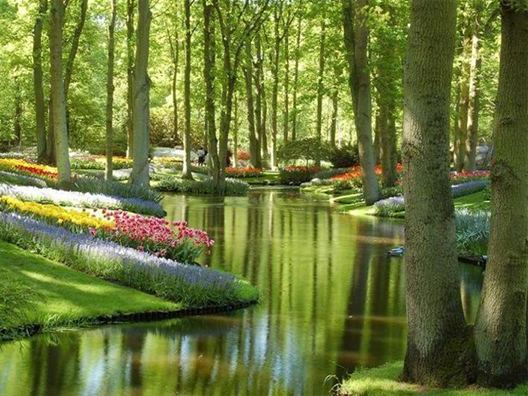 Thế giới đang đi về đâu