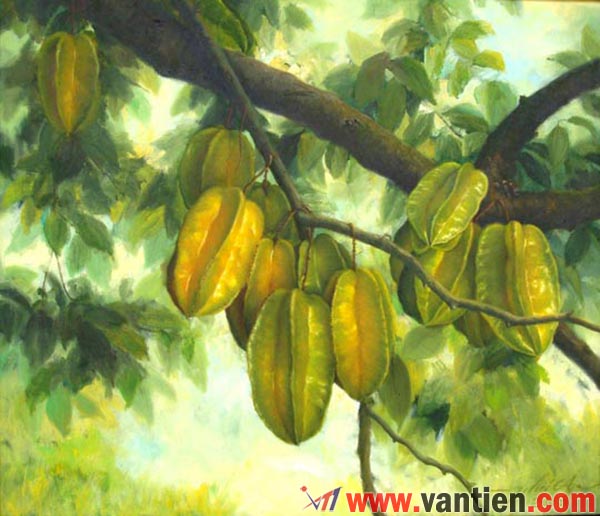 Bài thuốc chữa bách bệnh từ quả khế