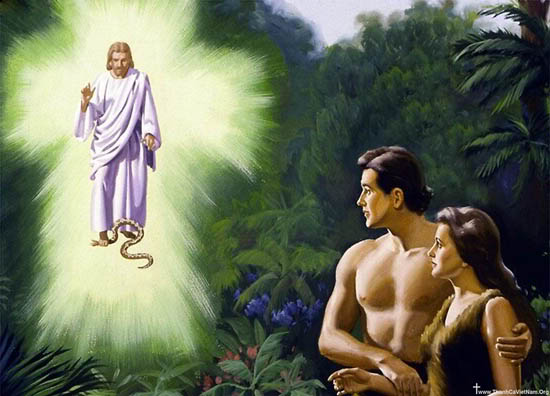 Coi chừng chiếc xương sườn!