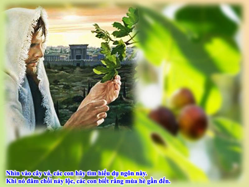 Tập san Tin Mừng và Nội san Lửa mến tháng 1 năm 2016