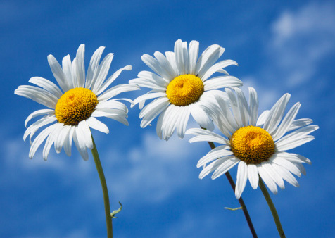 Lời nguyện Tín hữu Chúa nhật I - 9 TN