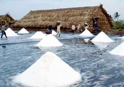 Suy niệm TUẦN 5 Thường niên