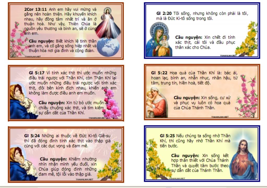 TÀI LIỆU: Một câu Giáo lý và một câu Lời Chúa ngày Chúa nhật